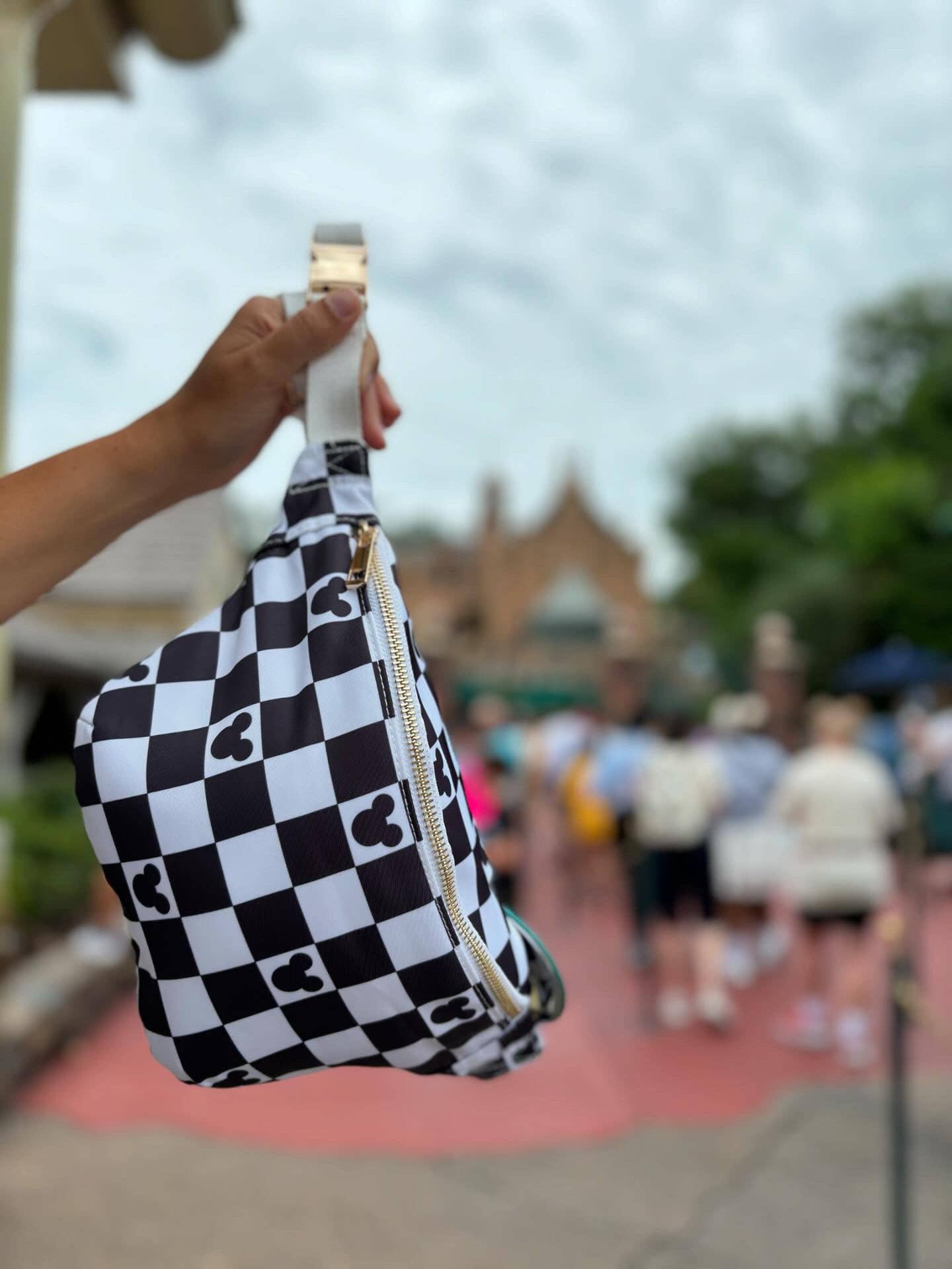 Magic Mouse Fanny Pack